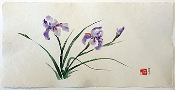 Irises by Barbara Rizza Mellin
